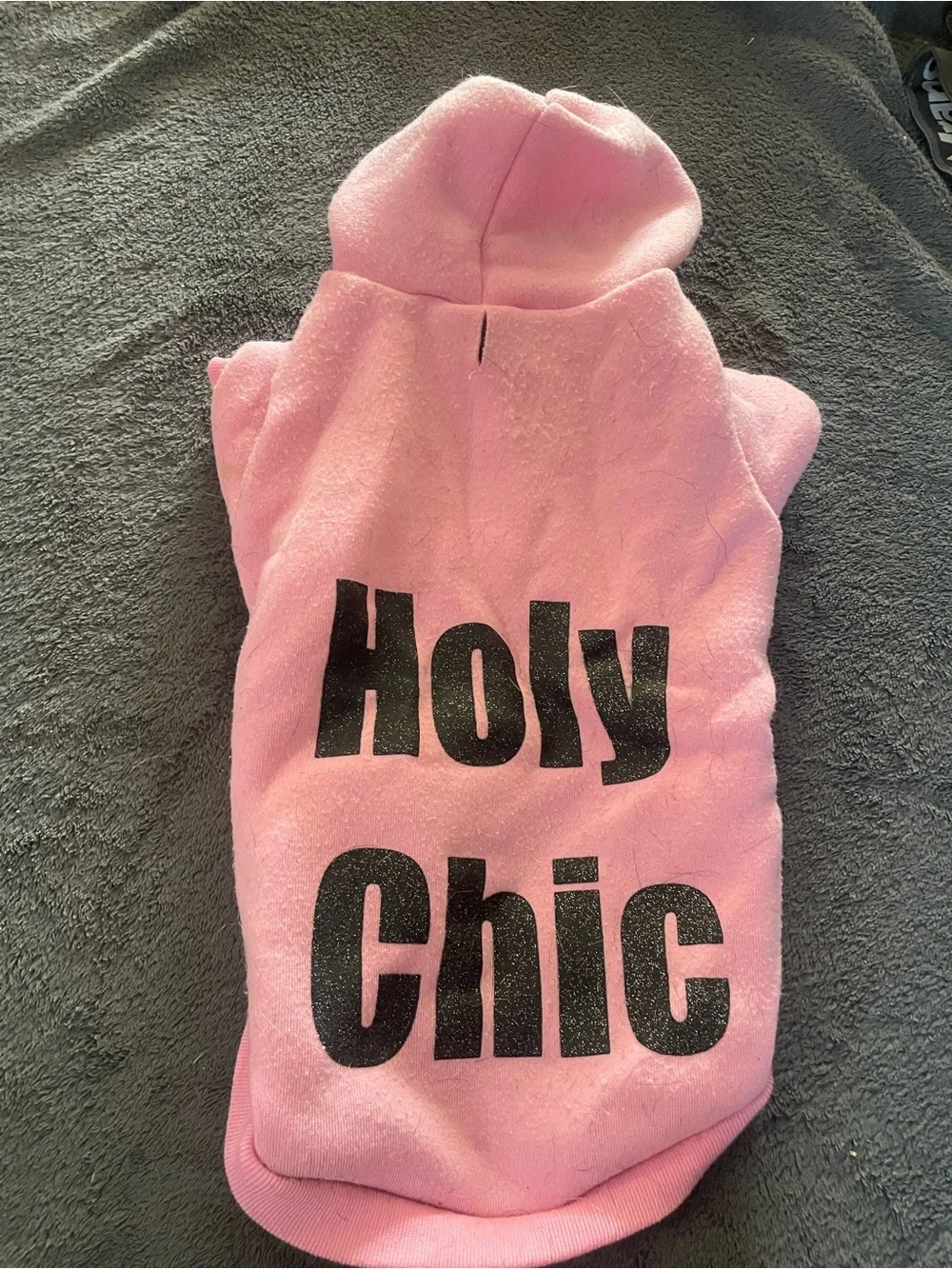 Holy Chic Pink Dog Hoodie